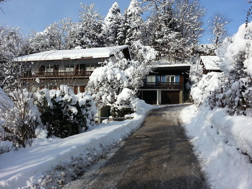 Pension Rosenheim Treffen Cameră foto